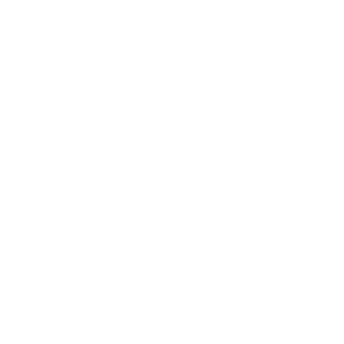 Maximale Effizienz Icon